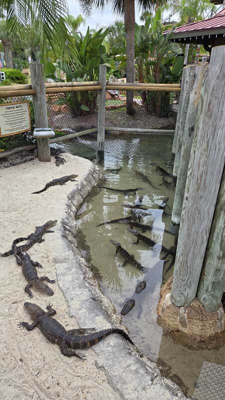 Port Richey Vacations