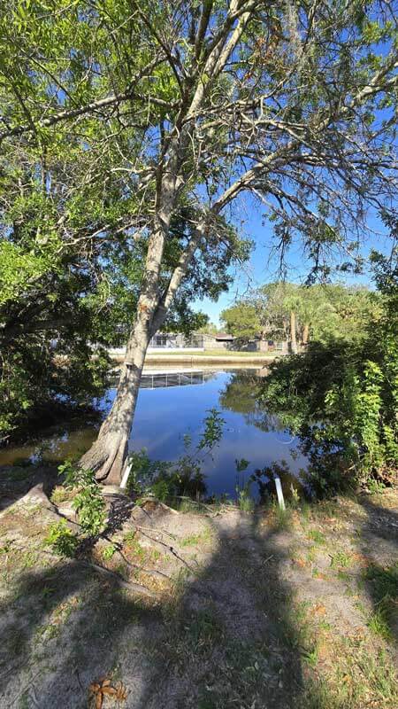 Port Richey Vacations